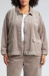 Eileen Fisher Classic Collar Corduroy Jacket In Taupe