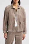 Eileen Fisher Classic Collar Corduroy Jacket In Taupe