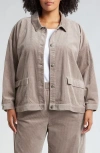 Eileen Fisher Classic Collar Corduroy Jacket In Taupe