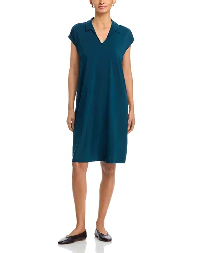 Eileen Fisher Classic Collar Dress In Blue