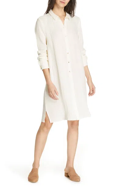 Eileen Fisher Classic Collar Dress In White In Beige