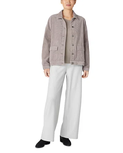 Eileen Fisher Classic Collar Jacket In Taupe