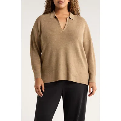 Eileen Fisher Classic Collar Merino Wool Sweater In Brown