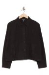 Eileen Fisher Classic Collar Organic Cotton Blend Jacket In Blue