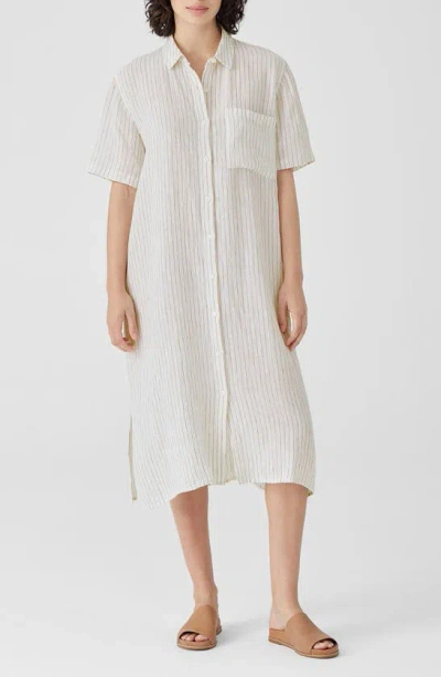 Eileen Fisher Classic Collar Stripe Organic Linen Shirtdress In Bronze