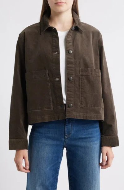 Eileen Fisher Classic Collar Velveteen Jacket In Brown