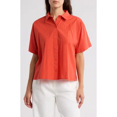 Eileen Fisher Classic Organic Cotton Collar Shirt In Flame