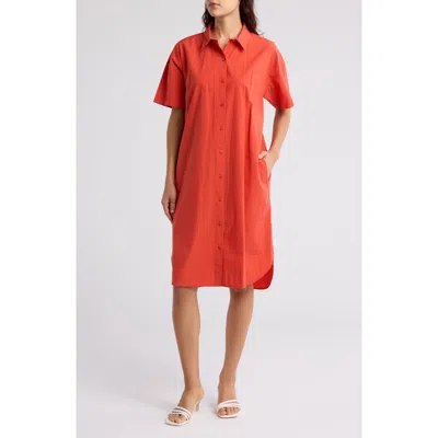 Eileen Fisher Classic Organic Cotton Shirtdress In Flame