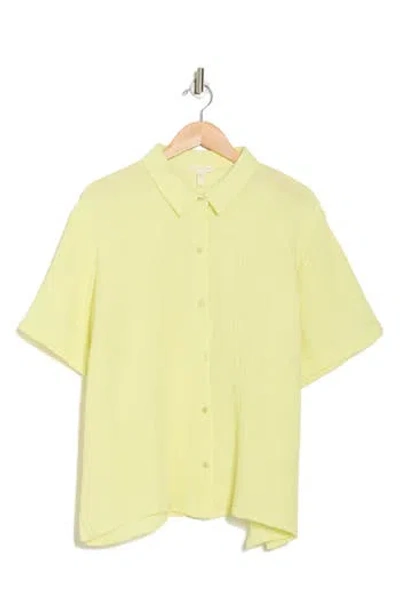 Eileen Fisher Classic Short Sleeve Organic Cotton Gauze Button-up Shirt In Citrus