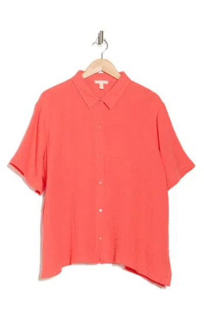 Eileen Fisher Classic Short Sleeve Organic Cotton Gauze Button-up Shirt In Watermelon