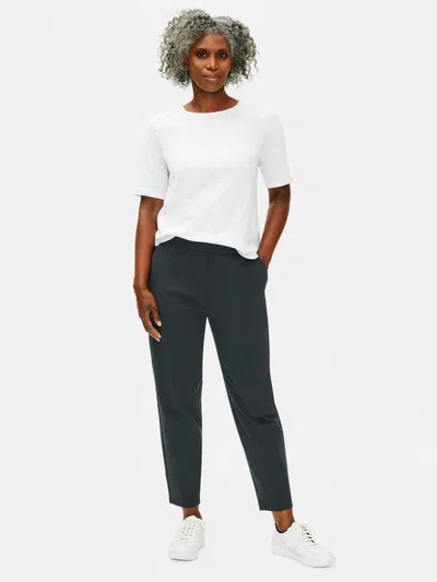 Eileen Fisher Cotton Stretch Jersey Lantern Pant In Gray