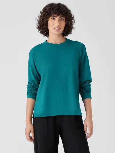 Eileen Fisher Cozy Brushed Terry Hug Crew Neck Top In Blue