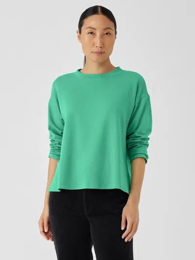 Eileen Fisher Cozy Brushed Terry Hug Crew Neck Top In Green