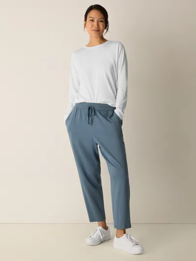Eileen Fisher Cozy Brushed Terry Hug Jogger Pant In Blue