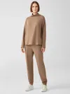Eileen Fisher Cozy Brushed Terry Hug Jogger Pant In Brown