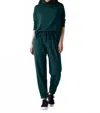 Eileen Fisher Cozy Brushed Terry Hug Track Jogger Pant In Pine In Burgundy