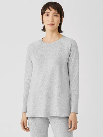 Eileen Fisher Cozy Brushed Terry Hug Raglan-sleeve Top In Gray
