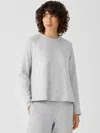 Eileen Fisher Cozy Brushed Terry Hug Raglan-sleeve Top In Gray