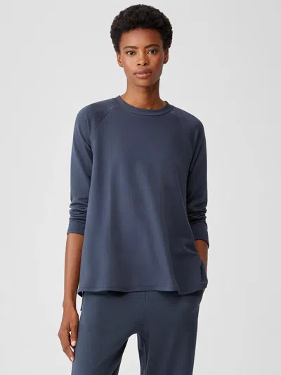 Eileen Fisher Cozy Brushed Terry Hug Raglan-sleeve Top In Blue