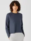 Eileen Fisher Cozy Brushed Terry Hug Raglan-sleeve Top In Blue
