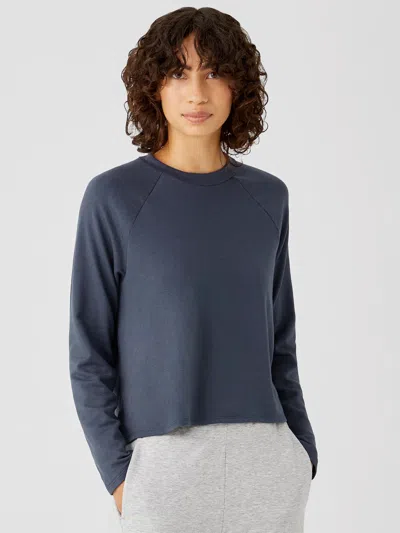 Eileen Fisher Cozy Brushed Terry Hug Raglan-sleeve Top In Blue
