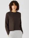 Eileen Fisher Cozy Brushed Terry Hug Raglan-sleeve Top In Brown
