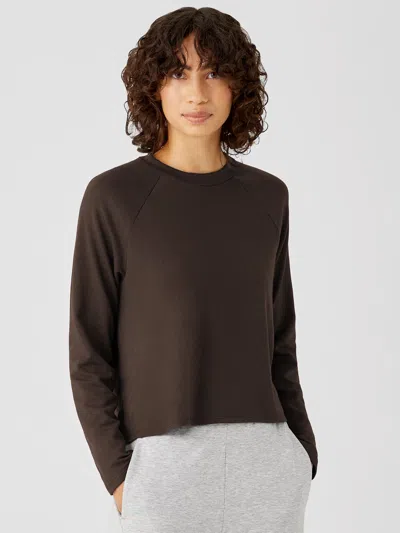Eileen Fisher Cozy Brushed Terry Hug Raglan-sleeve Top In Brown