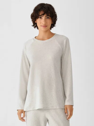 Eileen Fisher Cozy Brushed Terry Hug Raglan-sleeve Top In Gray