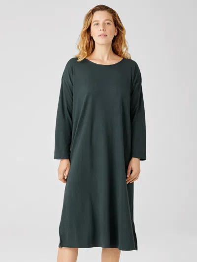 Eileen Fisher Cozy Organic Cotton Interlock Dress In Green