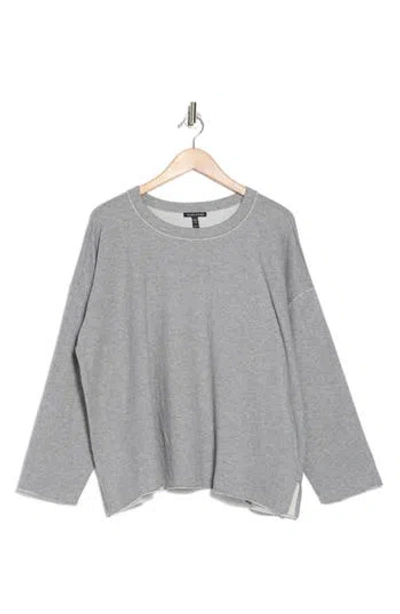 Eileen Fisher Crewneck Long Sleeve Boxy Organic Cotton Top In Moon