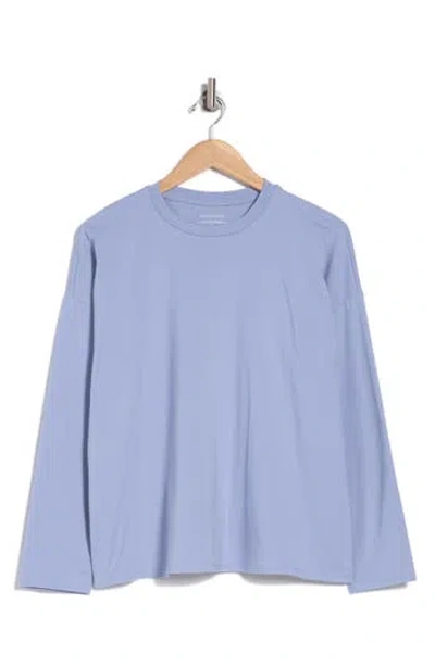 Eileen Fisher Crewneck Long Sleeve Boxy Top In Larkspur