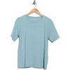 Eileen Fisher Crewneck Organic Cotton T-shirt In Blue