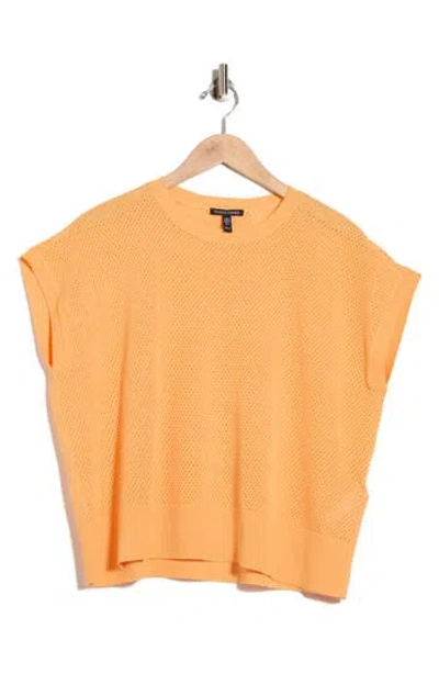 Eileen Fisher Crewneck Short Sleeve Pointelle Sweater In Multi