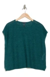 Eileen Fisher Dolman Sleeve Organic Linen Top In Aegean