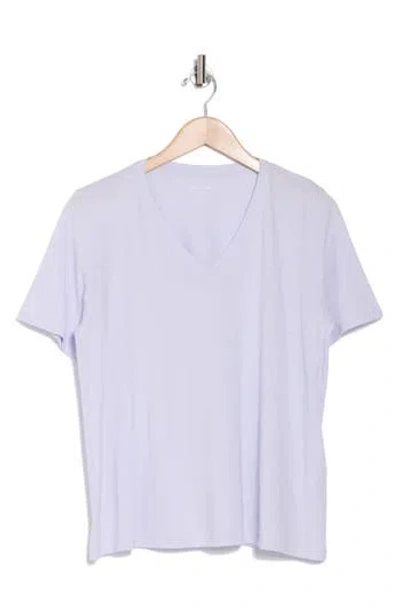 Eileen Fisher Easy V-neck Organic Cotton T-shirt