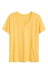 Eileen Fisher Easy V-neck Organic Cotton T-shirt