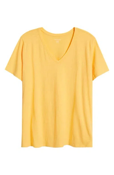 Eileen Fisher Easy V-neck Organic Cotton T-shirt