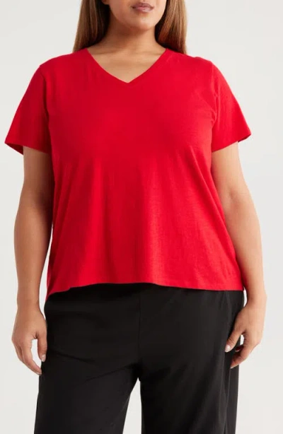 Eileen Fisher Easy V-neck Organic Cotton T-shirt In Red