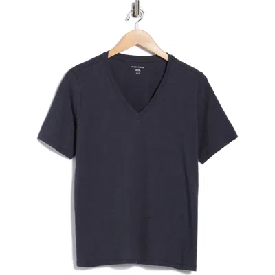 Eileen Fisher Easy V-neck Organic Cotton T-shirt In Blue