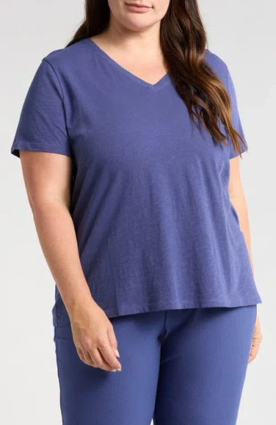 Eileen Fisher Easy V-neck Organic Cotton Slub T-shirt In Blue