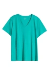 Eileen Fisher Easy V-neck Organic Cotton T-shirt In Jade