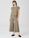Eileen Fisher Fine Jersey Wide-leg Pant In Brown