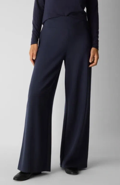 Eileen Fisher High Waist Wide Leg Pants In Black