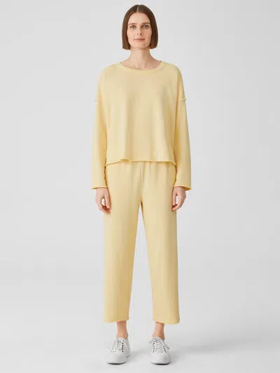 Eileen Fisher Lightweight Organic Cotton Terry Straight Pant In Yellow