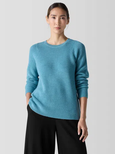 Eileen Fisher Merino Crew Neck Top In Regenerative Wool In Blue