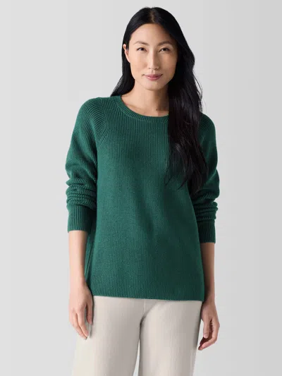 Eileen Fisher Merino Crew Neck Top In Regenerative Wool In Green