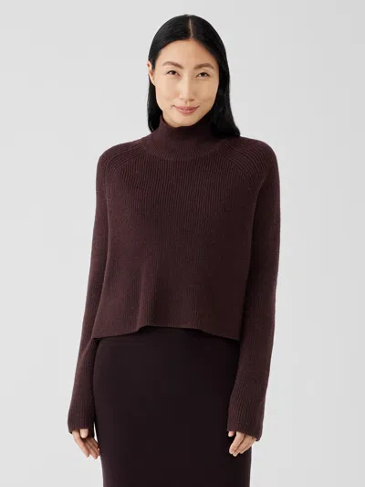 Eileen Fisher Merino Cropped Turtleneck Top In Regenerative Wool In Brown
