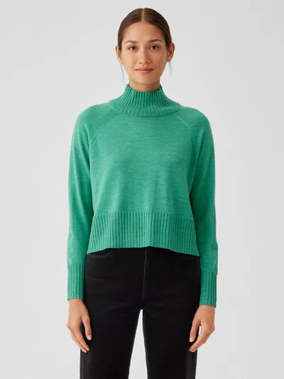 Eileen Fisher Merino Jersey Turtleneck Top In Regenerative Wool In Green