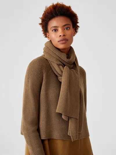 Eileen Fisher Merino Scarf In Brown
