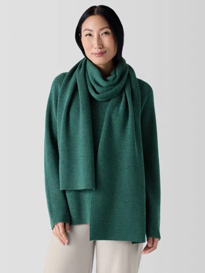Eileen Fisher Merino Scarf In Regenerative Wool In Green